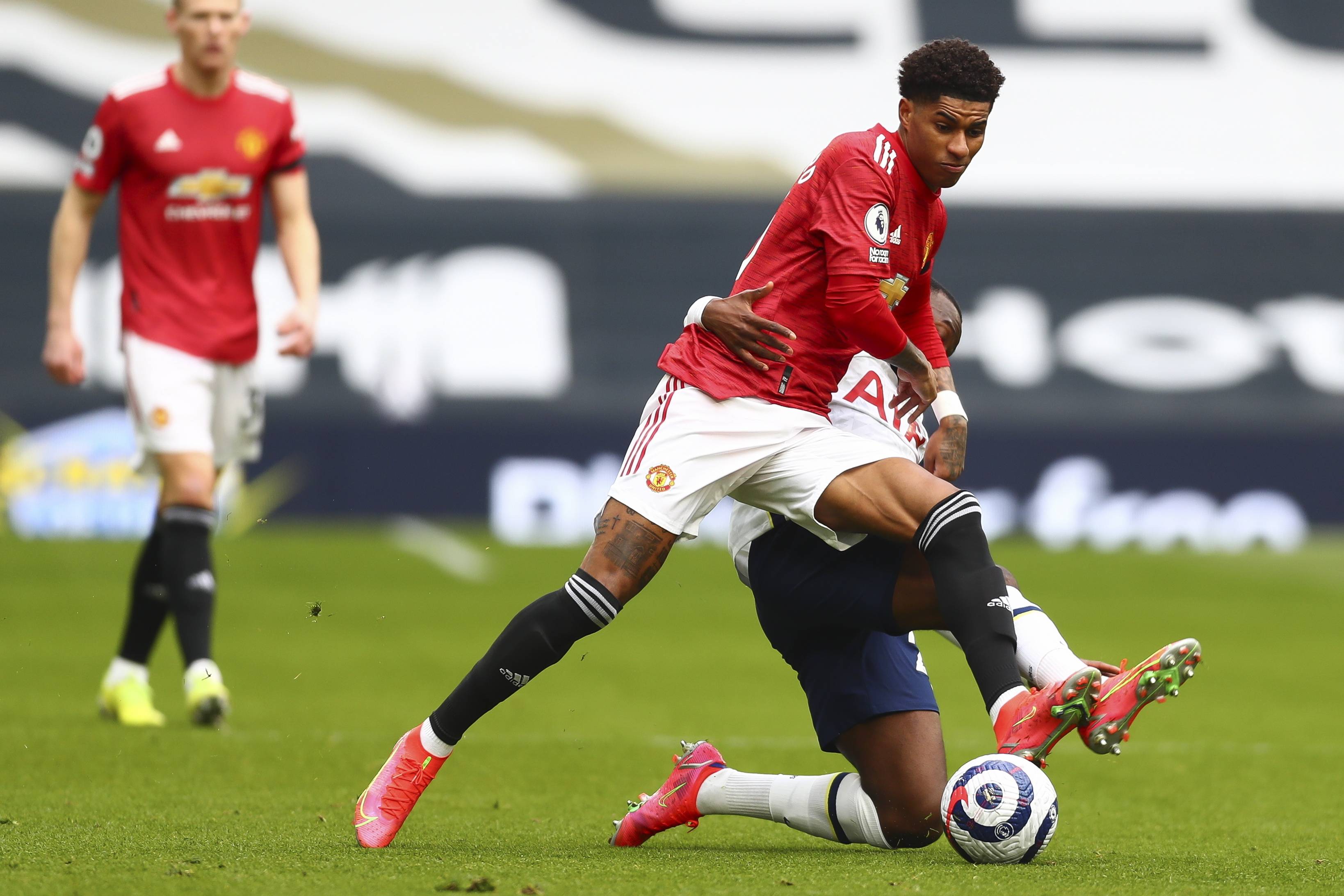 这一预测的 这一预测的