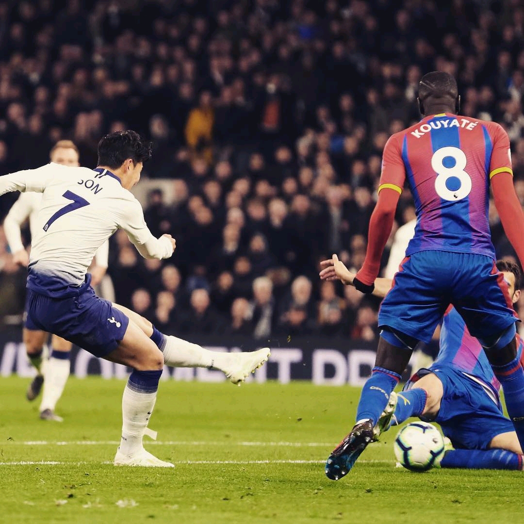 的极大关注 的极大关注