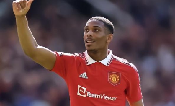 将担当起球 将担当起球